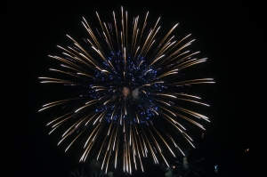 Fireworks (10)