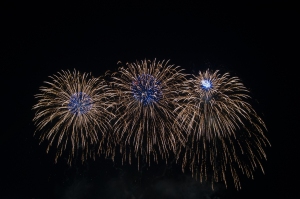 Fireworks (9)